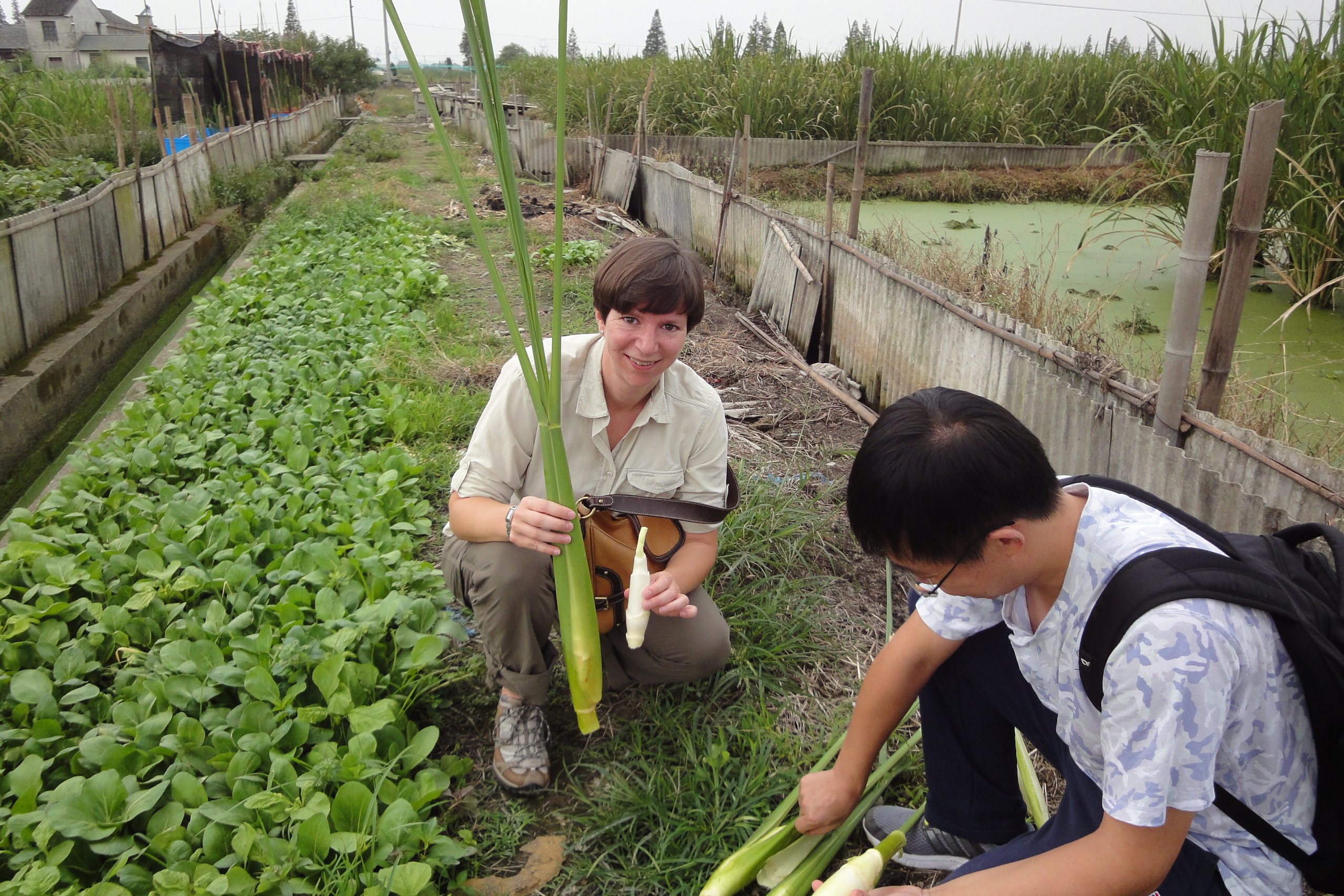 Vera Göhre kniet mit einem Landwirt auf einem Wasserbambusacker in China