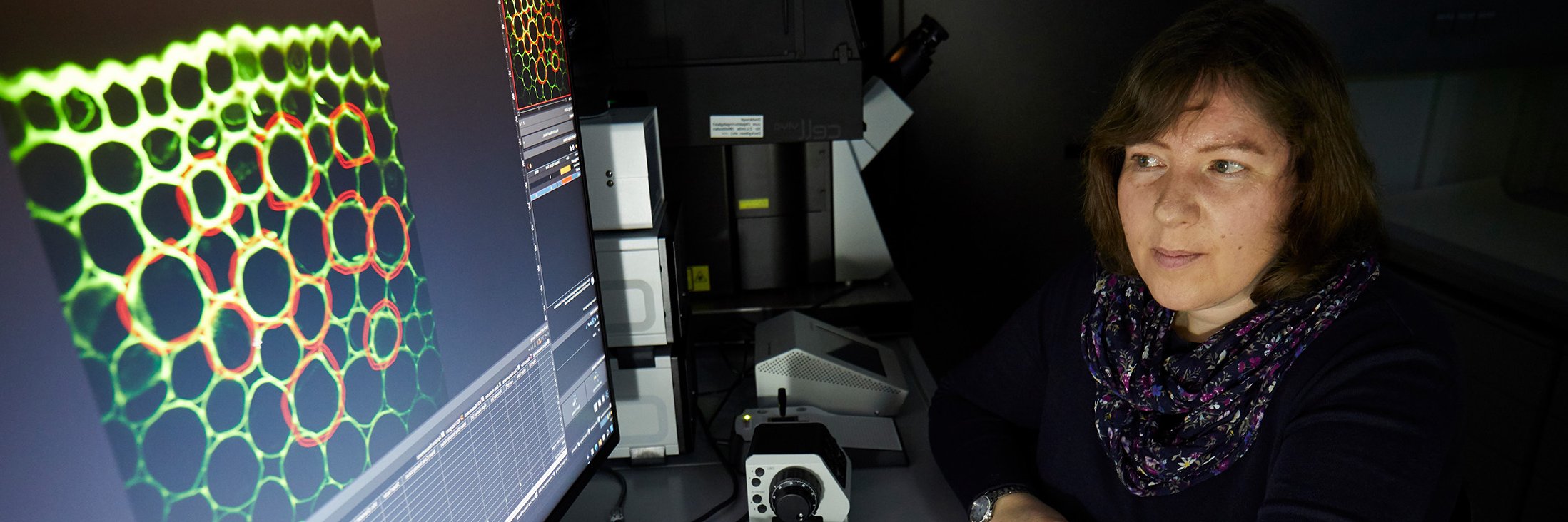 Dr. Neumann-Staubitz in front of a computer screen in her lab